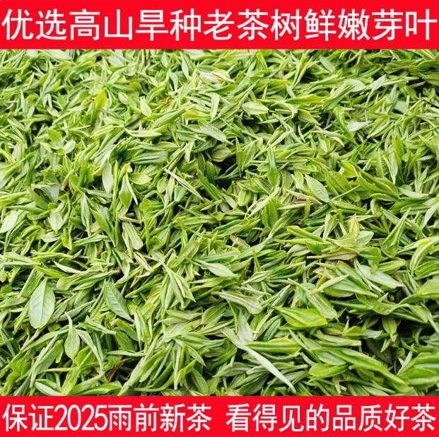 信阳毛尖2025新茶绿茶散装茶叶正宗雨前春茶袋装500g炒青茶浓香型